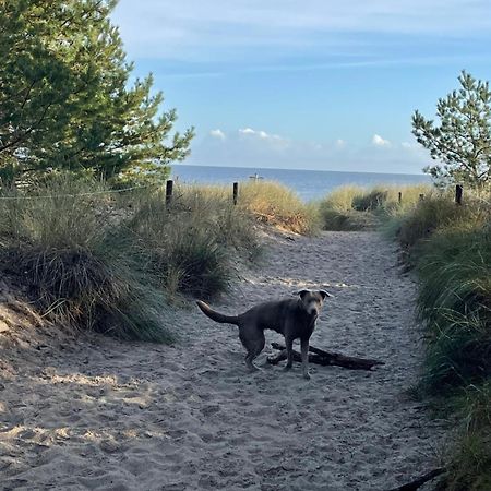 Reet Am Strand Mit Hund Karlshagen Ngoại thất bức ảnh