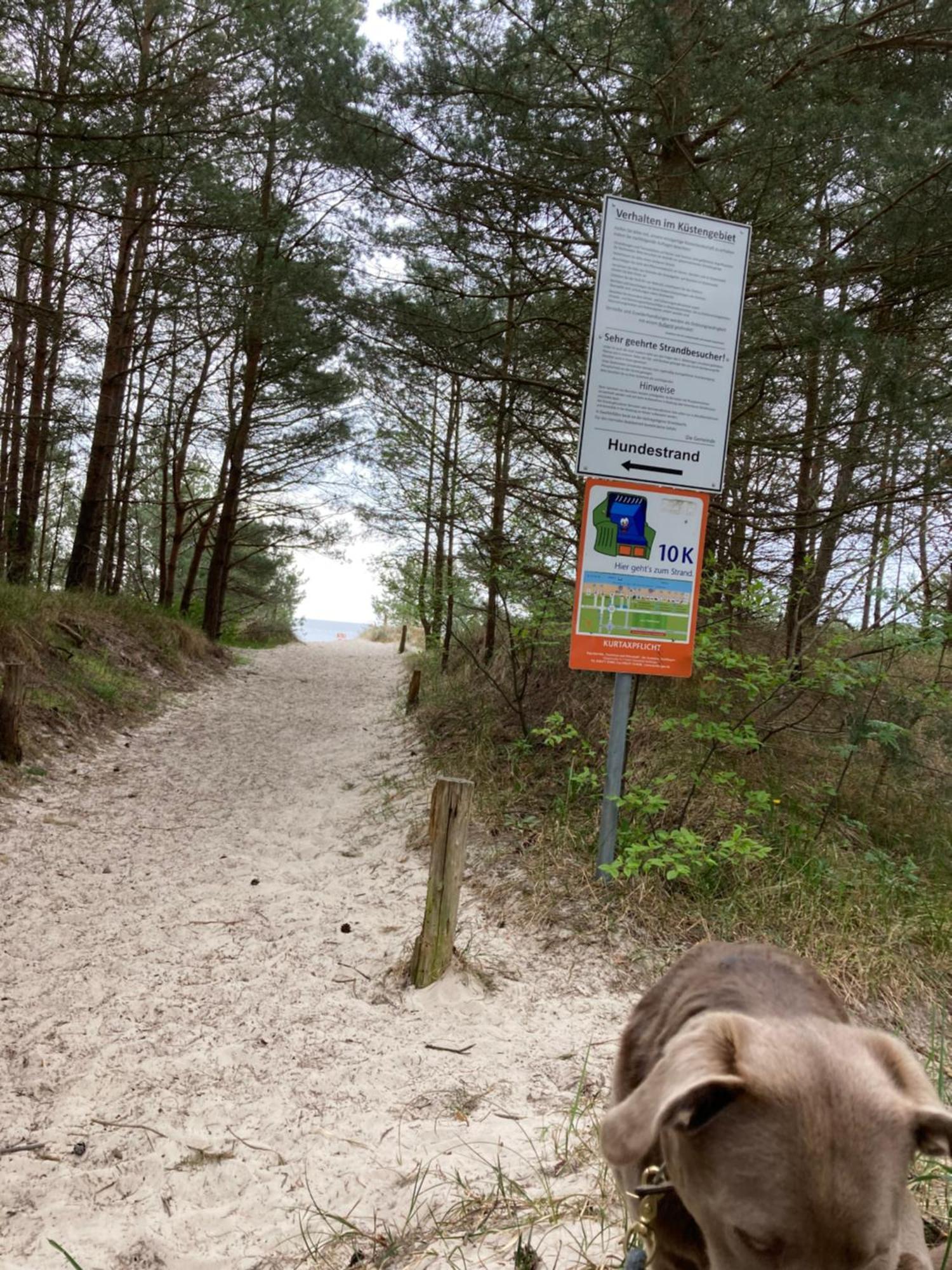 Reet Am Strand Mit Hund Karlshagen Ngoại thất bức ảnh