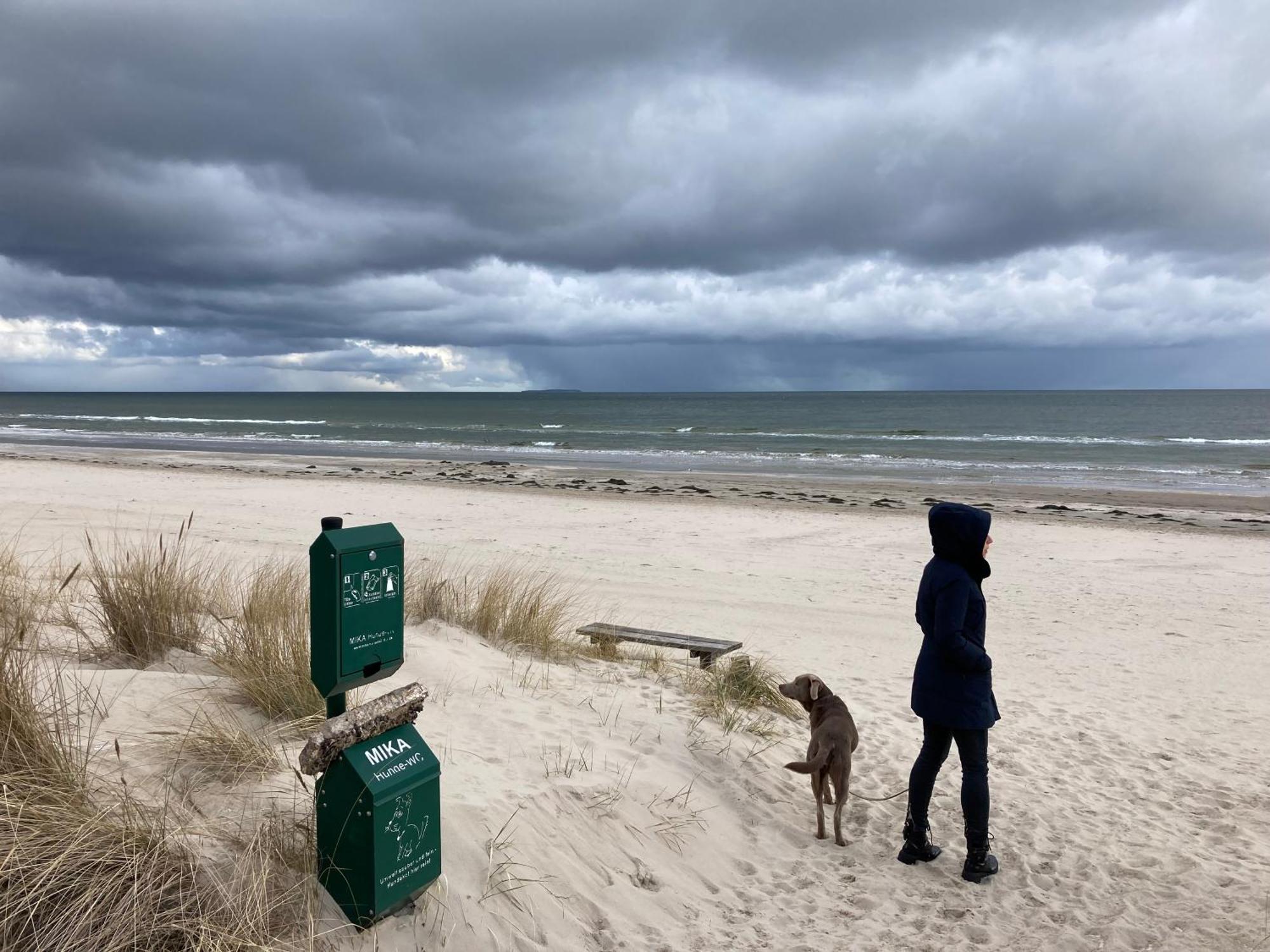 Reet Am Strand Mit Hund Karlshagen Ngoại thất bức ảnh